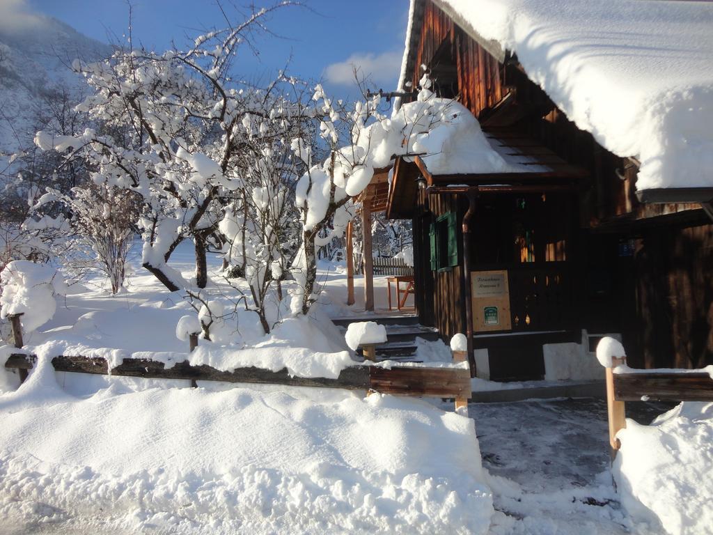 Chalet Ramsau 8 Bad Goisern Exteriör bild