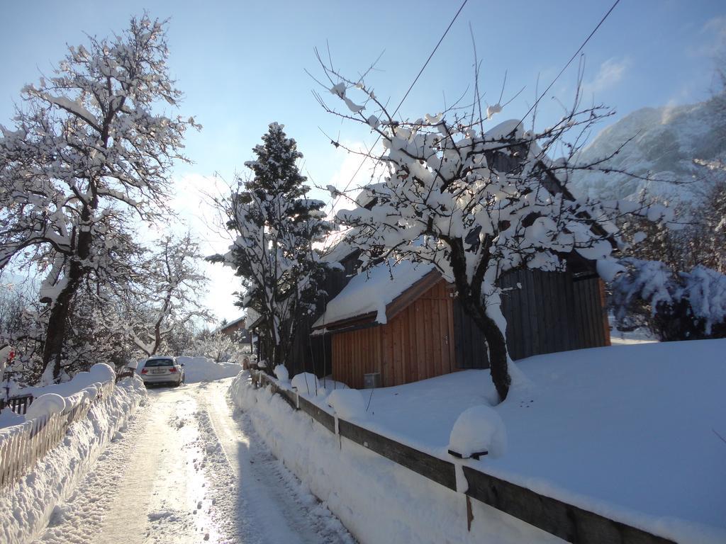 Chalet Ramsau 8 Bad Goisern Exteriör bild