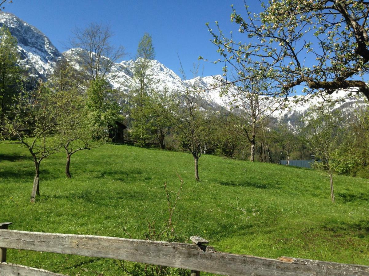 Chalet Ramsau 8 Bad Goisern Exteriör bild